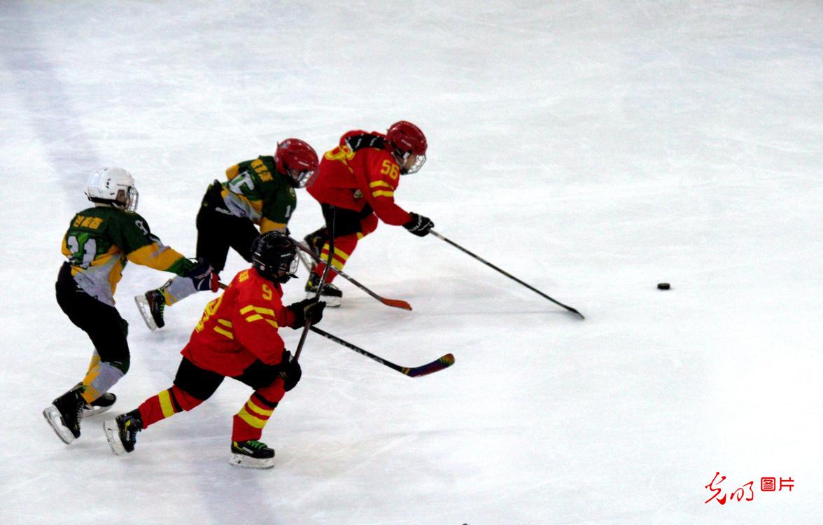 冰球总决赛即将打响，冠军归属成谜