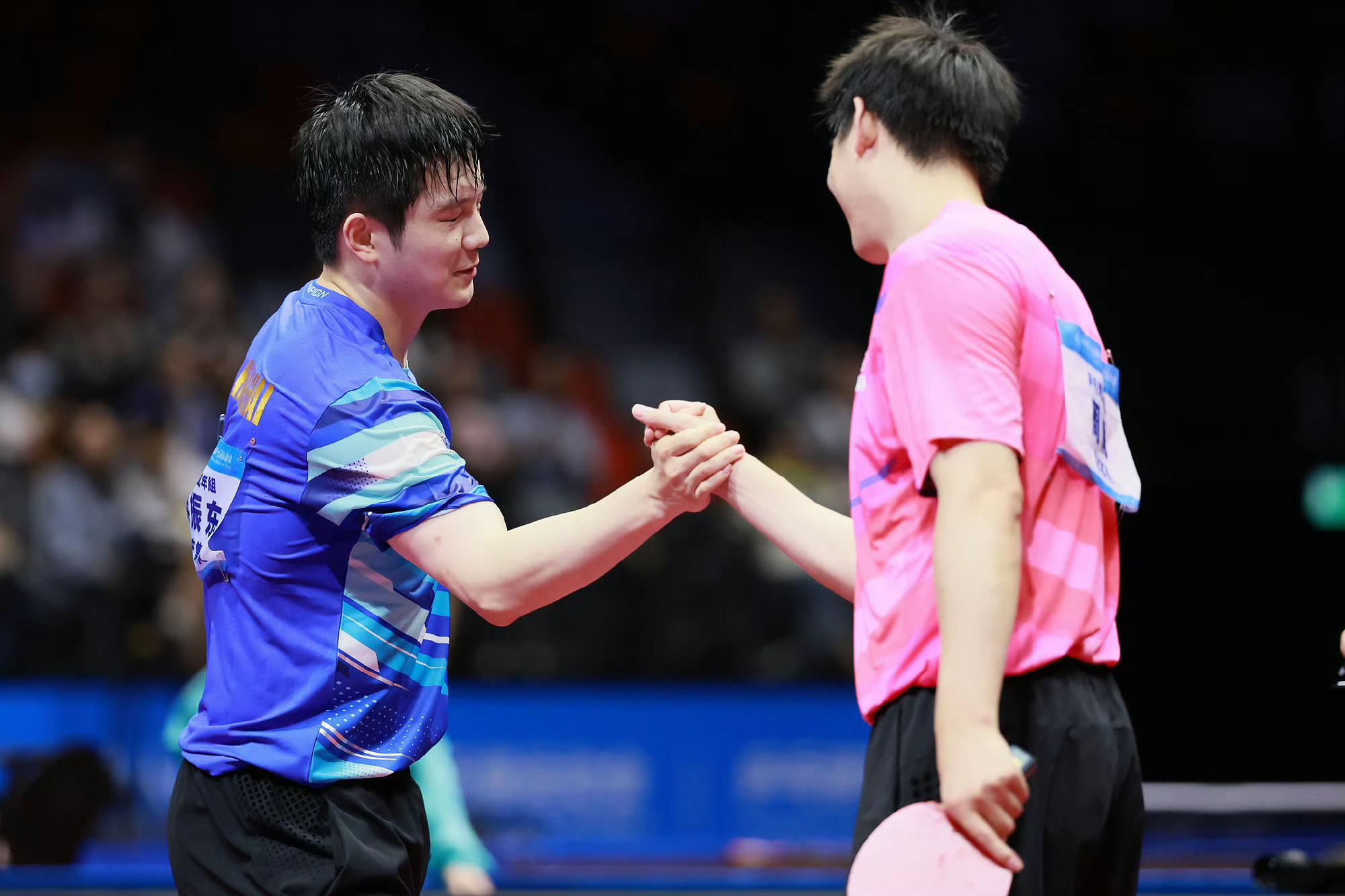 葡萄牙队横扫瑞典队,樊振东统治全场 葡萄牙队横扫瑞典队,樊振东统治全场