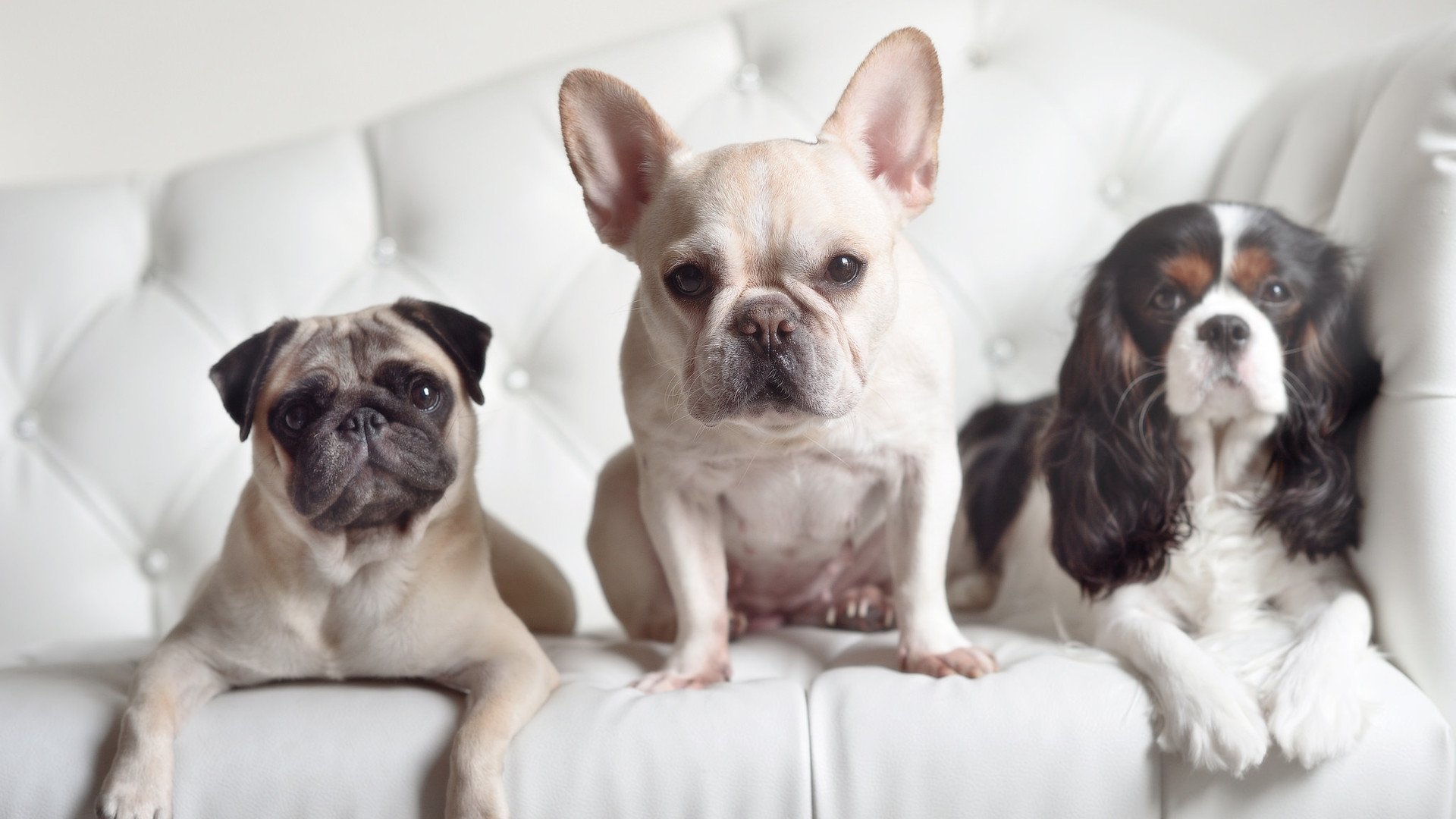 体育史上的绝杀图腾，金玟哉与莫德里奇，不同赛场上的同一颗大心脏