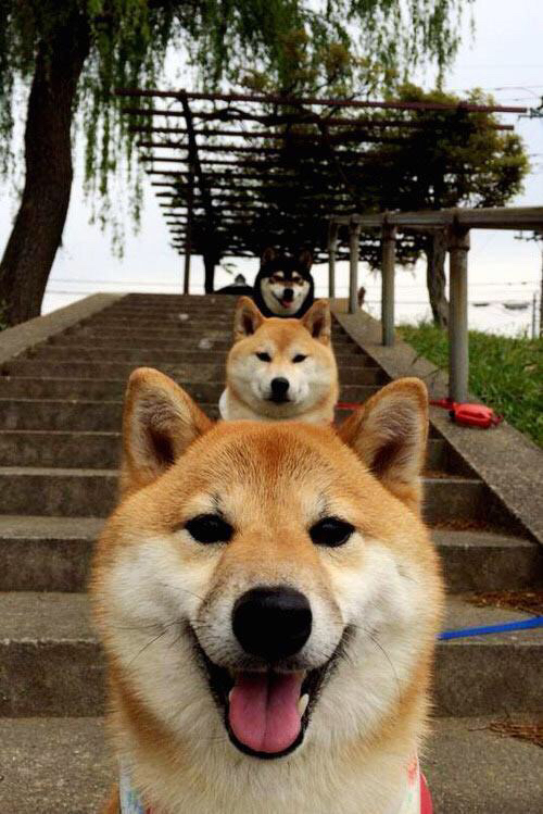 西亚卡姆最后一舞，骑士力克活塞的关键先生