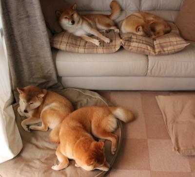 一场为奥运名额流血的重生之战—巴黎周期前哨战中的开拓者与老鹰血拼