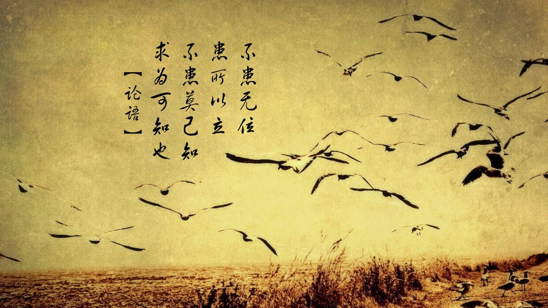 奇迹之夜,当奥地利击溃德国,京多安如何成为那个关键先生