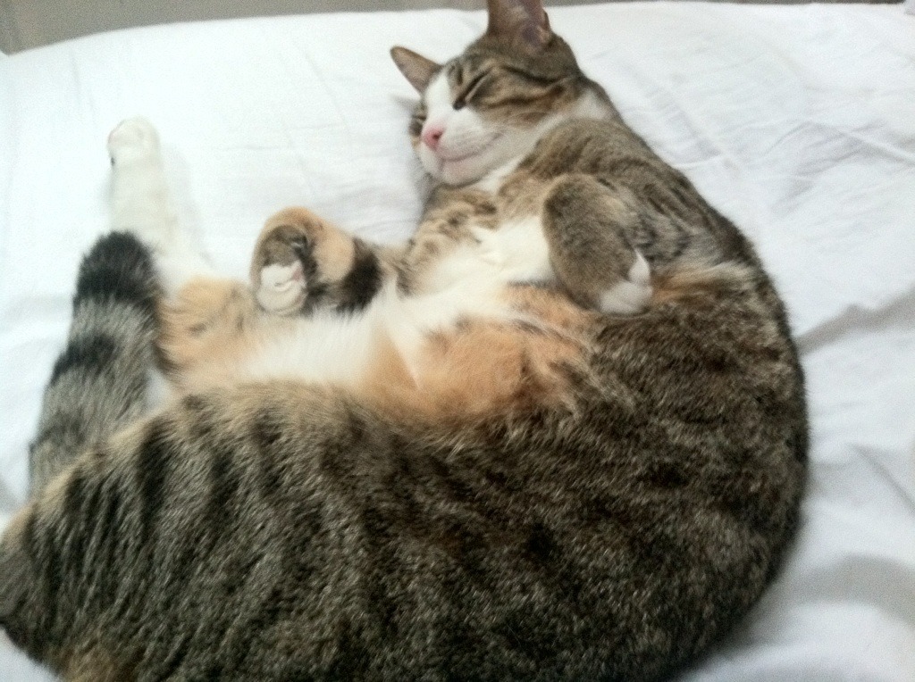 暗夜死神,奥运周期关键战,杜兰特为何舞台越大越强大?