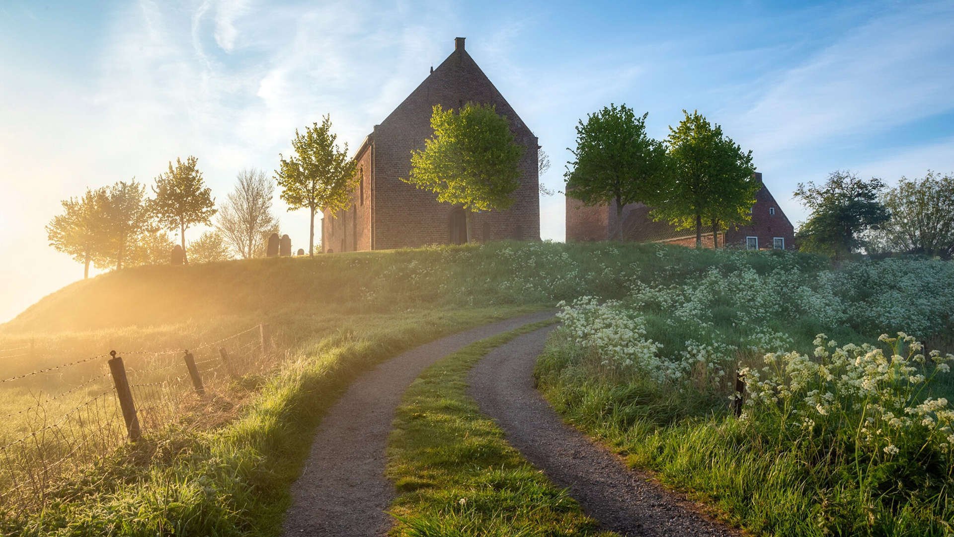 黑马与巨塔，当篮球场的瑞典人遇上罗马军团