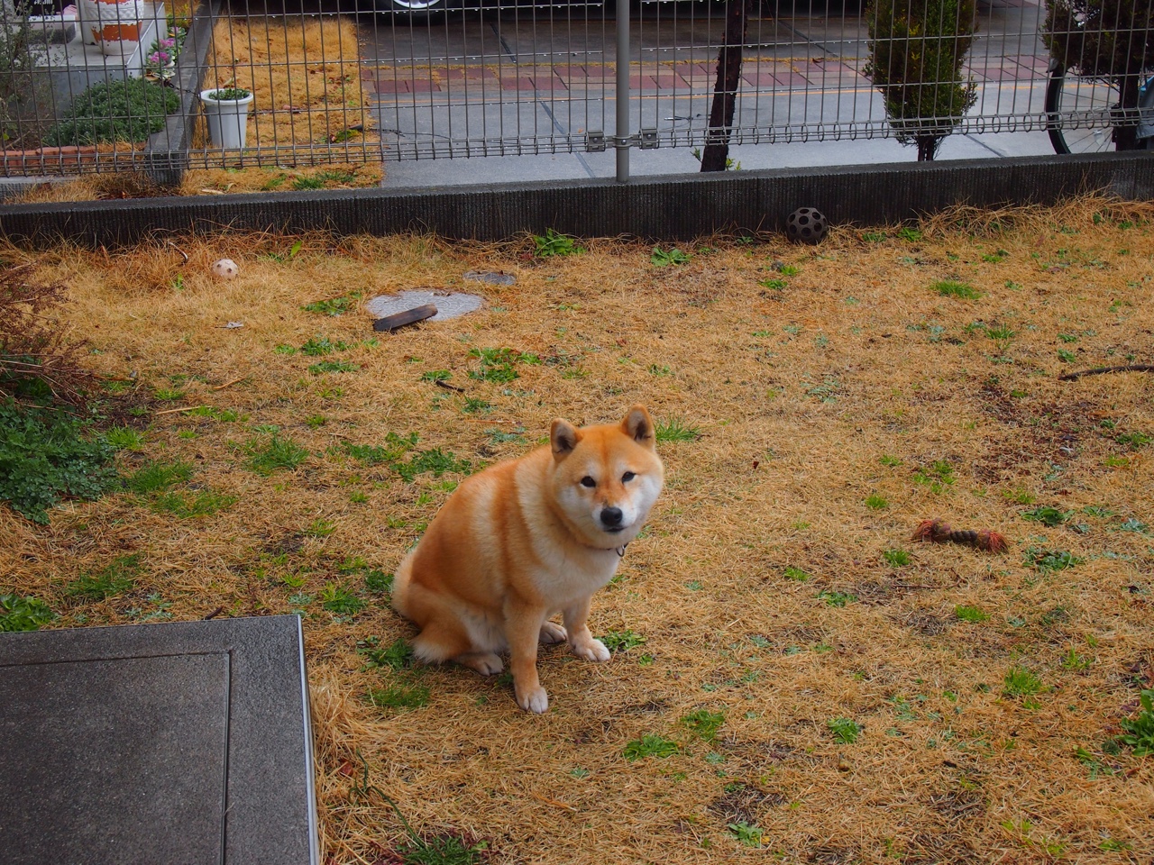 东决关键战,枪手熄火,马里统治级表现压制对手火力