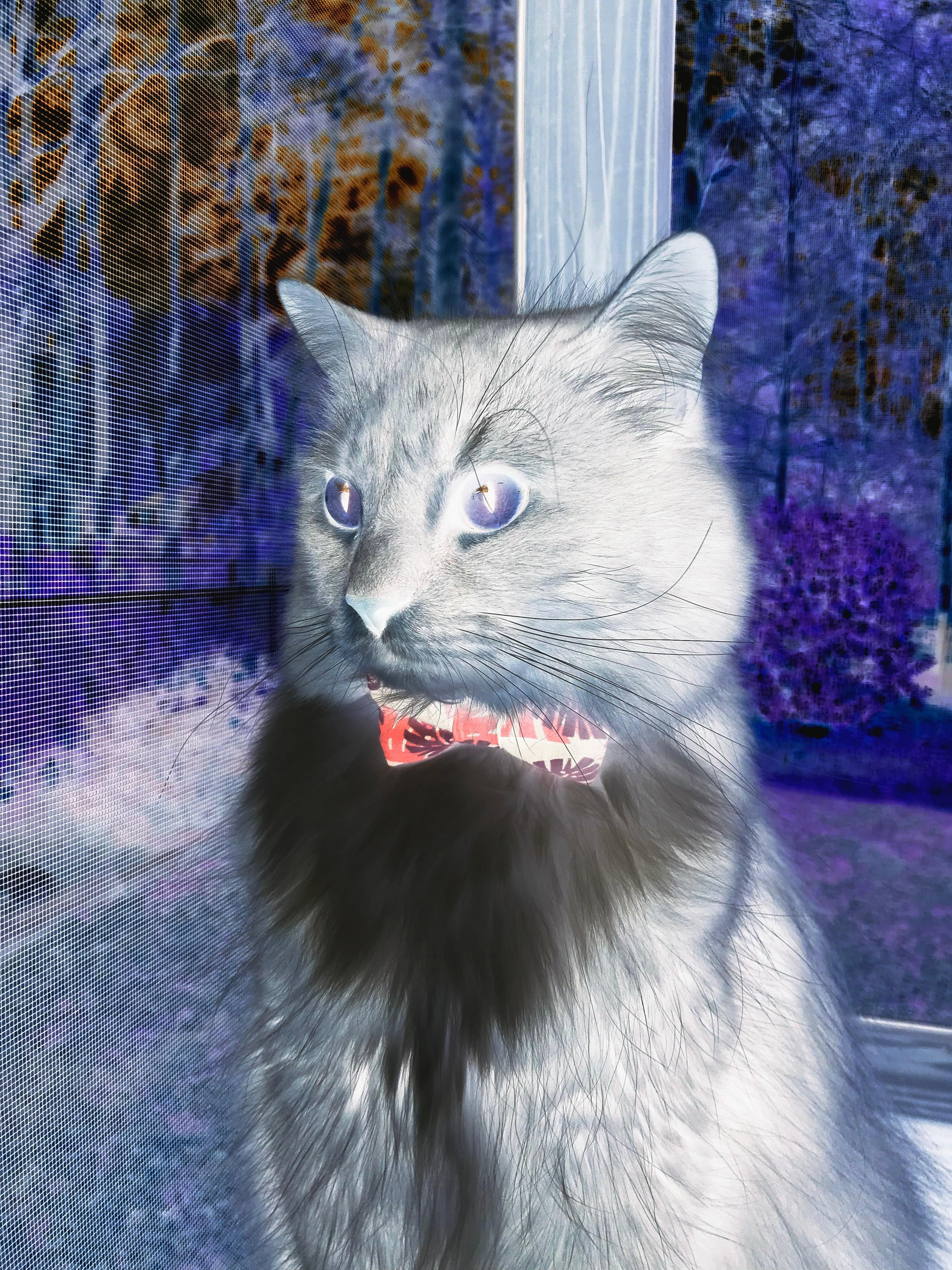 广东队闪电战击溃马刺，范弗利特高效输出铸就胜利基石