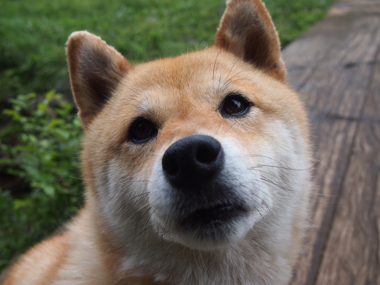 风暴眼与定盘星，当非卖品切特用三双为雷霆锁定晋级