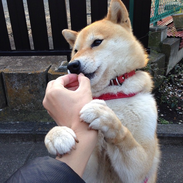 福登一剑封喉定江山,拉齐奥决胜局力克喀麦隆展雄风