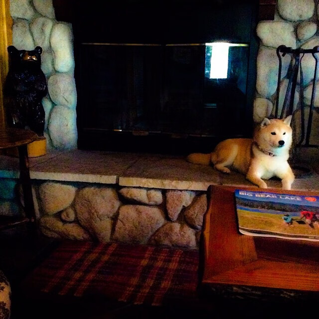 跨越赛场的传奇，克莱·汤普森末节决胜热火，再统F1街道赛