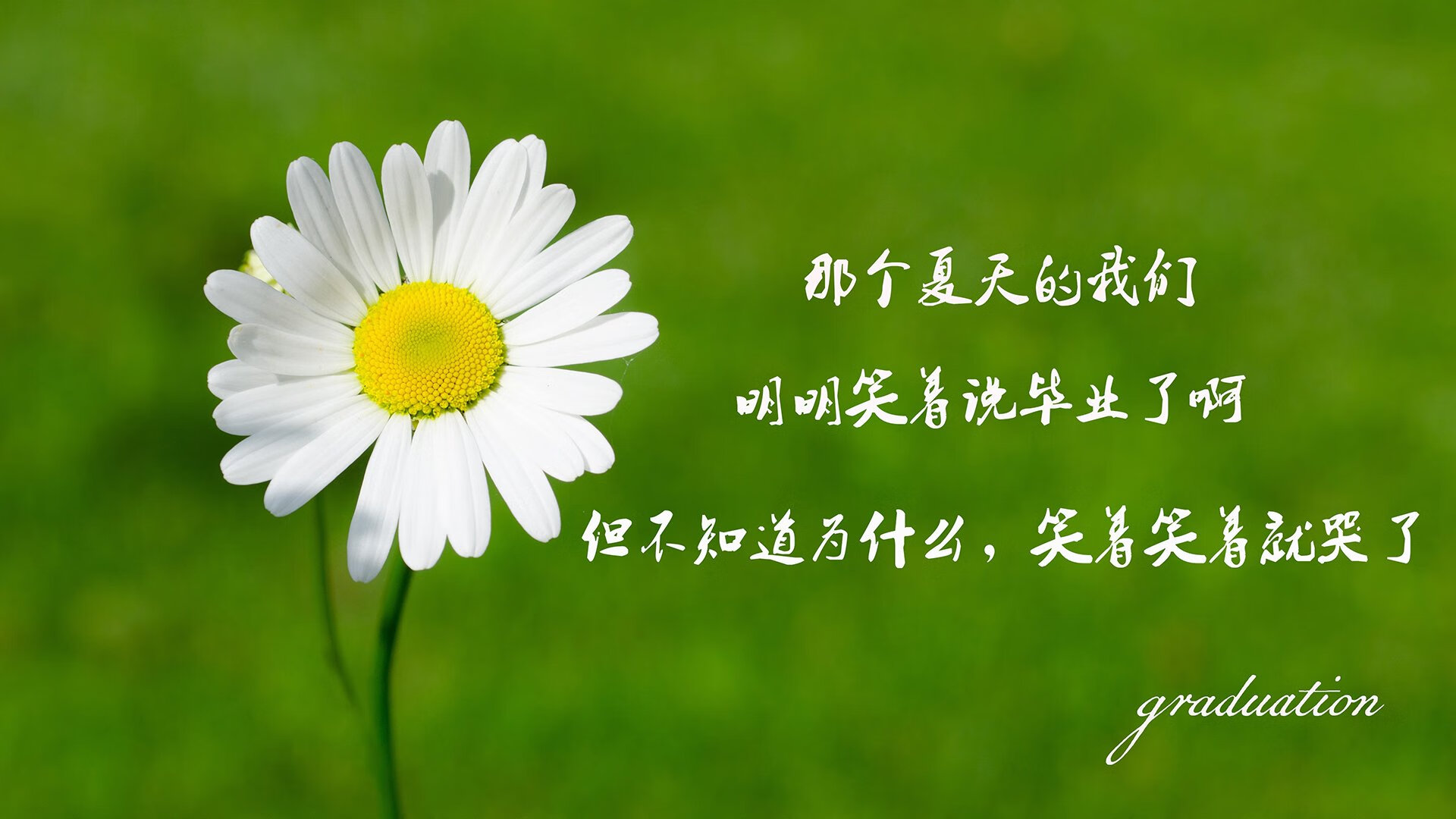 贝恩时刻,当雄鹿的马蹄声响起,他重新定义了证明