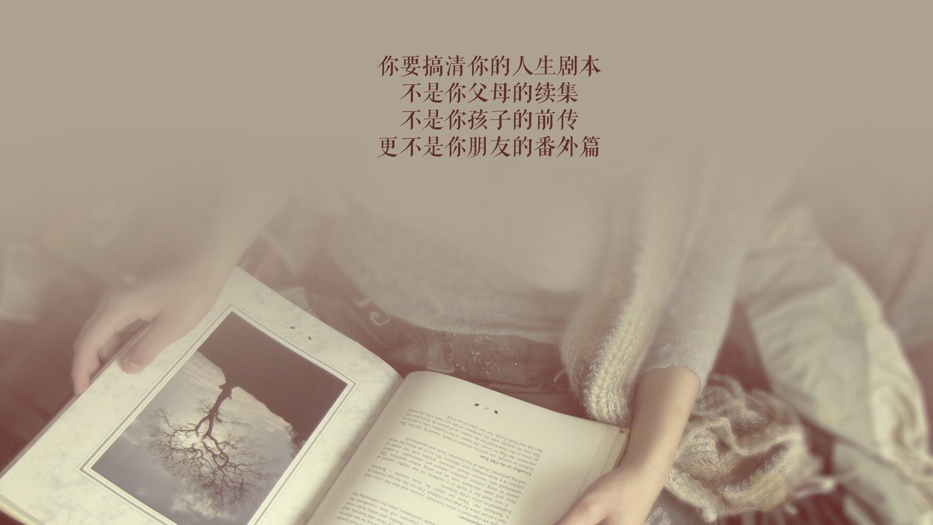 魔笛余音,北非热风,2026世界杯F组,当匈牙利益智风暴撞上哈基米的孤胆英雄主义